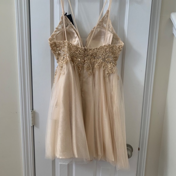 CD0155 (Champagne) - Picture 2 of 4